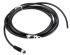 binder 传感器执行器电缆, M8转无终端接头, 2m长, PVC 79 3406 42 03