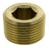Legris Brass Pipe Fitting, Straight Threaded Plug, Male R 3/4in