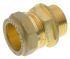 Pegler Yorkshire Brass Pipe Fitting, Straight Compression Coupler, Male G 3/4in to Female 22mm