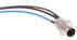 Lumberg Automation Straight Male 3 way M8 to Unterminated Sensor Actuator Cable, 500mm