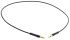 TE Connectivity Male MCX to Male MCX Coaxial Cable, 500mm, RG174 Coaxial, Terminated