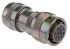 Glenair MIL-Rundsteckverbinder Stecker, 10-polig, 600 V ac, 700 V dc, Kabelmontage, Gehäuse 12, MIL-DTL-26482