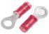 TE Connectivity, PIDG Insulated Ring Terminal, M4 Stud Size, 0.26mm² to 1.65mm² Wire Size, Red