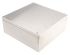 Rose Hygienic Series 304 Stainless Steel Wall Box, IP66, 300 mm x 300 mm x 121mm