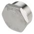 RS PRO Stainless Steel Pipe Fitting Hexagon Plug, Male R 2in