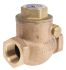 RS PRO Bronze Single Check Valve, BSPT 3/4in, 20 bar