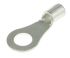 JST Uninsulated Ring Terminal, 6mm Stud Size, 2.6mm² to 6.6mm² Wire Size
