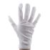 BM Polyco White Nylon Work Gloves, Size 9, Large, 100 Gloves