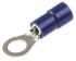 RS PRO Insulated Ring Terminal, M5 Stud Size, 1.5mm² to 2.5mm² Wire Size, Blue