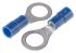 RS PRO Insulated Ring Terminal, M7 Stud Size, 0.5mm² to 1.5mm² Wire Size, Blue