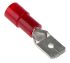 Terminal de lengüeta macho aislado de color Rojo RS PRO de crimpar, 0.8 x 6.35mm, 0.5mm² → 1.5mm², long. 22mm, de Latón