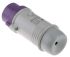 Scame IP44 Purple Cable Mount 2P Industrial Power Plug, Rated At 16.0A, 20 → 25 V
