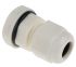 RS PRO White Nylon Cable Gland, M12 Thread, 3mm Min, 6.5mm Max, IP68