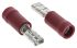 JST FVDDF Red Insulated Female Spade Connector, Receptacle, 2.79 x 0.5mm Tab Size, 0.25mm² to 1.65mm²