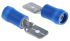 JST FVDDM Blue Insulated Male Spade Connector, Tab, 6.3 x 0.8mm Tab Size, 1mm² to 2.6mm²
