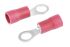 JST, FV Insulated Ring Terminal, M4 (#8) Stud Size, 0.25mm² to 1.65mm² Wire Size, Red