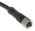Telemecanique Sensors M8 3-benet Konfektioneret kabel, 5m kabel