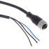 Telemecanique Sensors M12 4-benet Konfektioneret kabel, 10m kabel
