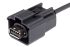 Cable USB 2.0 Molex, con A. USB A Hembra, con B. Mini USB B Macho, long. 500mm, color Negro
