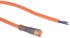 Lumberg Automation Straight Female M8 to Free End Sensor Actuator Cable, 3 Core, 5m