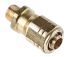 Kopex Cable Gland, M20 Max. Cable Dia., Brass, IP66