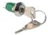 Key Switch, Double Pole Double Throw (DPDT), 1 A @ 24 V dc 2-Way