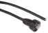 Amphenol Socapex Cat5 Ethernet Cable, RJ45 to Free End, Unshielded Shield, Black Plastic Sheath, 2m