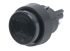 Marquardt Push Button Switch, Momentary, Panel Mount, 16mm Cutout, SPST, IP40