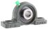2 Bolt Pillow Block SL Type 17mm