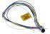 Brad from Molex Straight Male M12 to Free End Sensor Actuator Cable, 8 Core, 300mm