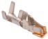 Hirose DF11 Crimp-Anschlussklemme für DF11-Steckverbindergehäuse, Buchse / 0.3mm², Gold Crimpanschluss