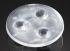 Ledil LED lencse, 3-LED-es/objektív, 50 (Dia.) x 10.7mm, Széles szögű, 36°, használható: (Cree XB-D, Cree XP-E, Cree