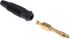 Hirschmann Test & Measurement Black Male Banana Plug, 4 mm Connector, Solder Termination, 32A, 30 V ac, 60V dc, Gold