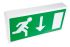 RS PRO LED Emergency Lighting, Bulkhead, 3 W, Maintained