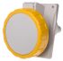 Scame IP66, IP67 Yellow Panel Mount 2P+E Heavy Duty Power Connector Socket, Rated At 32A, 110 V
