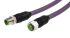 Cable de conexión Murrelektronik Limited, con. A M12 Hembra, 4 polos, con. B M12 Macho, 4 polos, cod.: D, long. 10m, 4