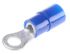 Phoenix Contact, C-RCI 2.5/M3.5 Insulated Ring Terminal, M3.5 Stud Size, 1.5mm² to 2.5mm² Wire Size, Blue
