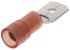Phoenix Contact C-SCMI Red Insulated Male Spade Connector, Tab, 6.3 x 0.8mm Tab Size, 0.5mm² to 1.5mm²