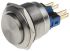 RS PRO Push Button Switch, Momentary, Panel Mount, 22mm Cutout, SPDT, 250V ac, IP67