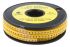 RS PRO Slide On Cable Markers, Black on Yellow, Pre-printed "Earth", 3 → 4.2mm Cable