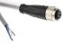 Pepperl + Fuchs Straight Female M12 to Free End Sensor Actuator Cable, 4 Core, PUR, 2m