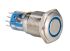 Bulgin Illuminated Push Button Switch, Momentary, Panel Mount, 16.2mm Cutout, DPDT, Blue LED
