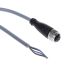 Pepperl + Fuchs Straight Female 5 way M12 to 5 way Unterminated Sensor Actuator Cable, 10m