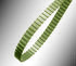 OPTIBELT 16 DT10 / 1800 Timing Belt, 180 Teeth, 1800mm Length, 16mm Width