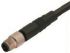 Binder Straight Male 4 way M5 to Unterminated Sensor Actuator Cable, 2m
