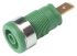 Hirschmann Test & Measurement Green Female Banana Plug - Tab, 1000 V ac/dc