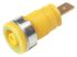 Hirschmann Test & Measurement Green/Yellow Female Banana Plug - Tab, 1000 V ac/dc