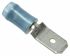TE Connectivity PIDG FASTON .250 Blue Insulated Male Spade Connector, Tab, 5.14mm² Tab Size, 1mm² to 2.5mm²