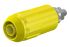 Staubli Yellow Female Banana Socket, 4 mm Connector, Bolt Termination, 20A, 1000V, Nickel Plating