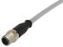 HARTING Straight Male 12 way M12 to Unterminated Sensor Actuator Cable, 2m